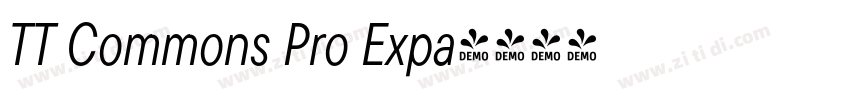 TT Commons Pro Expa字体转换